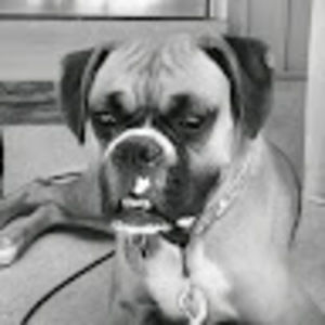 Meet your Posher, Jill